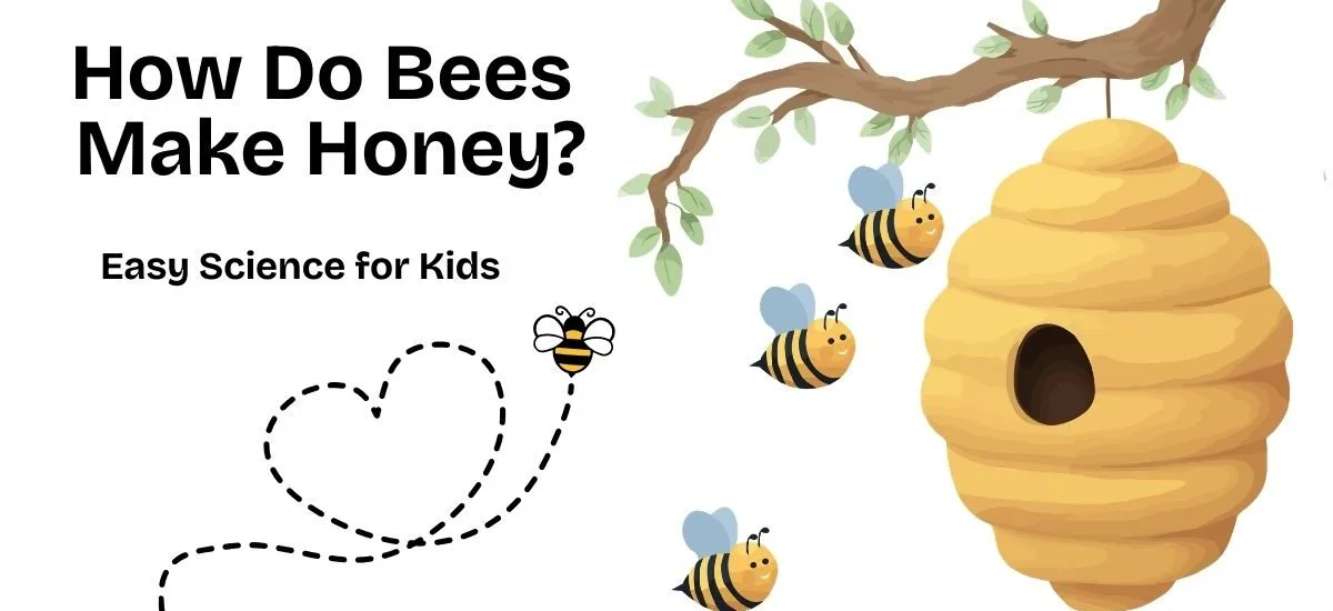 how do bees make honey