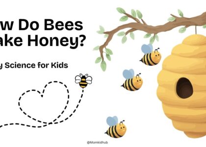 how do bees make honey