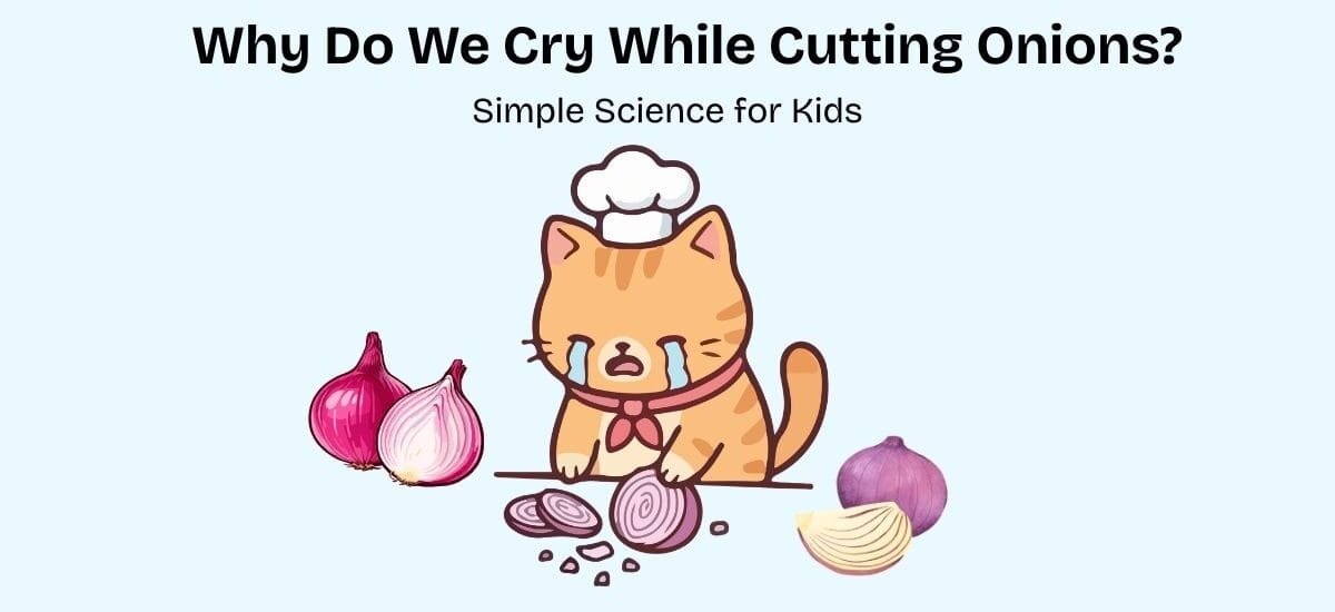 why do we cry while cutting onions simple science for kids