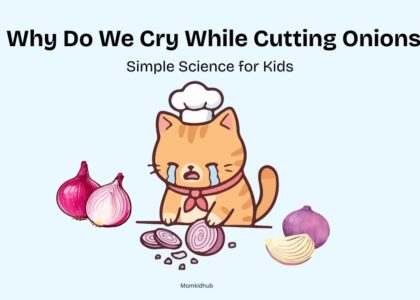why do we cry while cutting onions simple science for kids