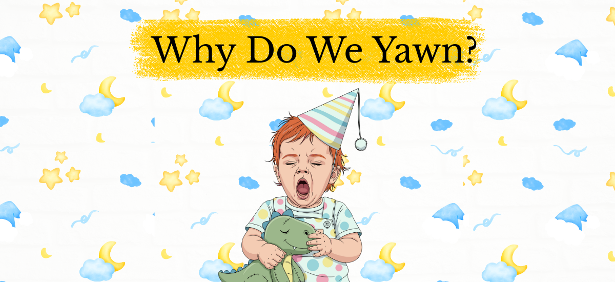 why do we yawn science explanation for kids illustration
