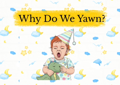 why do we yawn science explanation for kids illustration