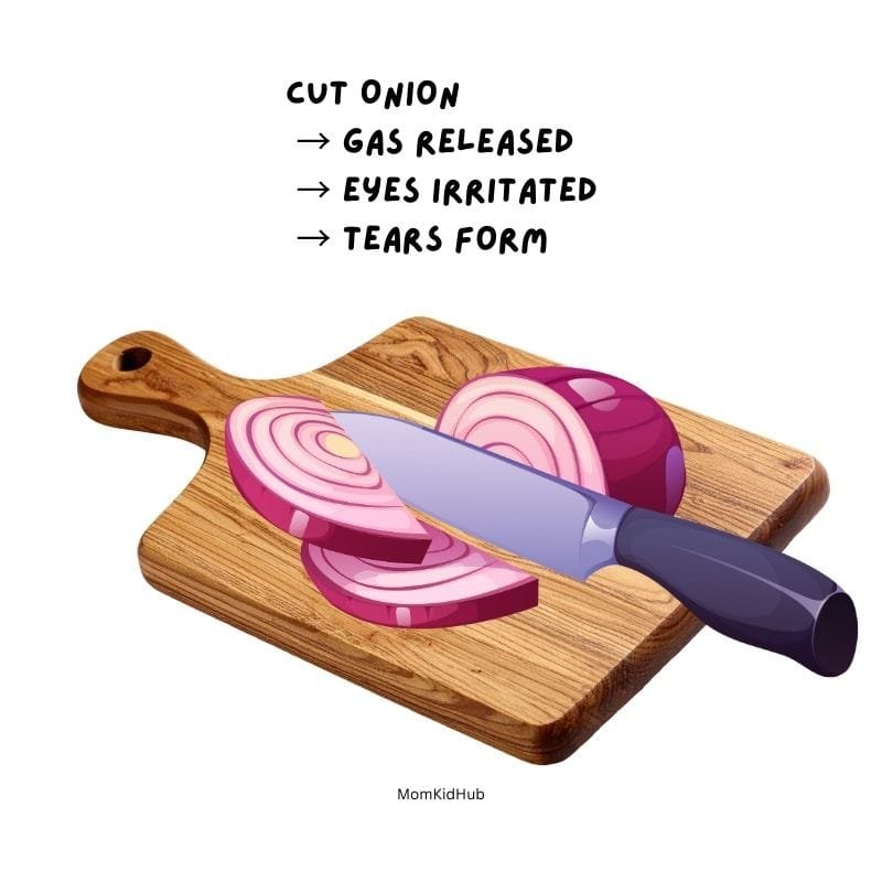 chop onions in kitchen