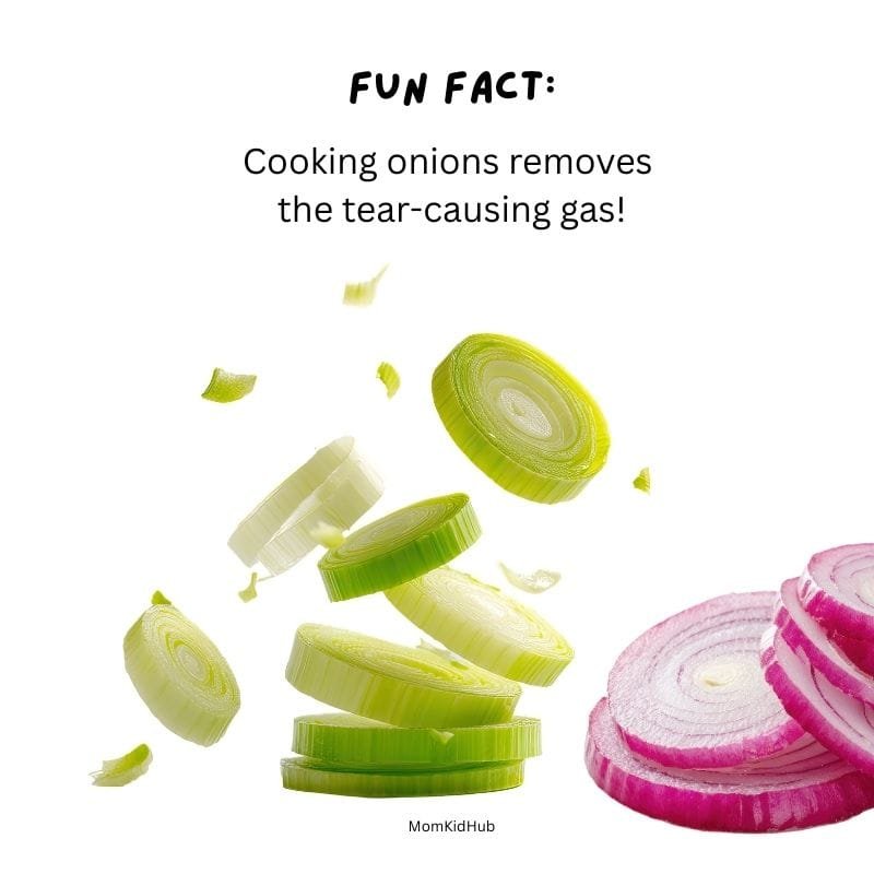 Onions come in different colors.