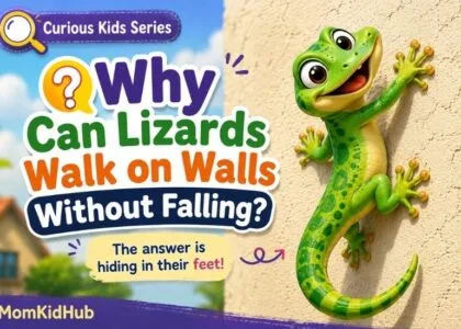 Why can lizards walk on walls without falling - kid-friendly science explanation