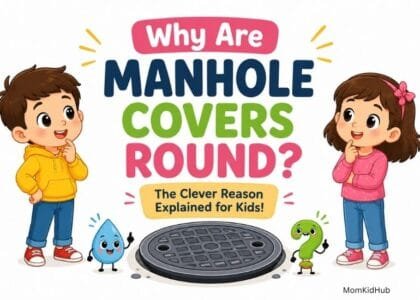 Why are manhole covers round? Cute illustration explaining the clever engineering behind round manhole covers for kids.