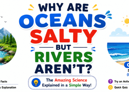 Why are oceans salty but rivers aren't? Kid-friendly illustration explaining the science behind salty oceans and fresh rivers.