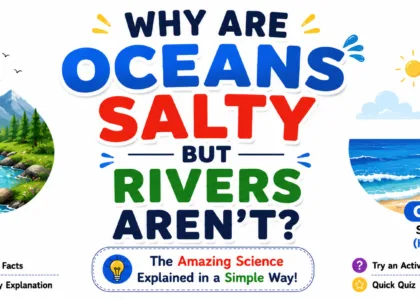 Why are oceans salty but rivers aren't? Kid-friendly illustration explaining the science behind salty oceans and fresh rivers.