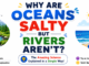 Why are oceans salty but rivers aren't? Kid-friendly illustration explaining the science behind salty oceans and fresh rivers.