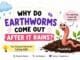 Why do earthworms come out after it rains? Cute illustration explaining rainy season science for kids.