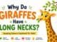 Why do giraffes have long necks? Cute giraffe reaching leaves from a tall tree in a fun science illustration for kids.