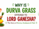 Why is Durva grass offered to Lord Ganesha? Story of Durva and Analasura