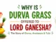 Why is Durva grass offered to Lord Ganesha? Story of Durva and Analasura